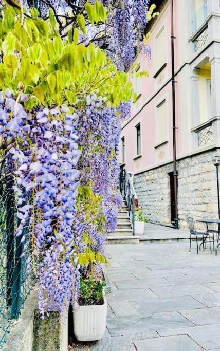 Charming & Luxury Villa Como Lake Εξωτερικό φωτογραφία